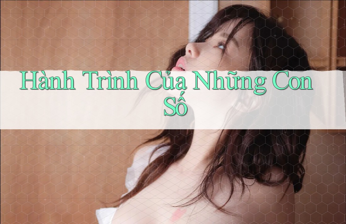 Hành Trình Của Những Con Số
