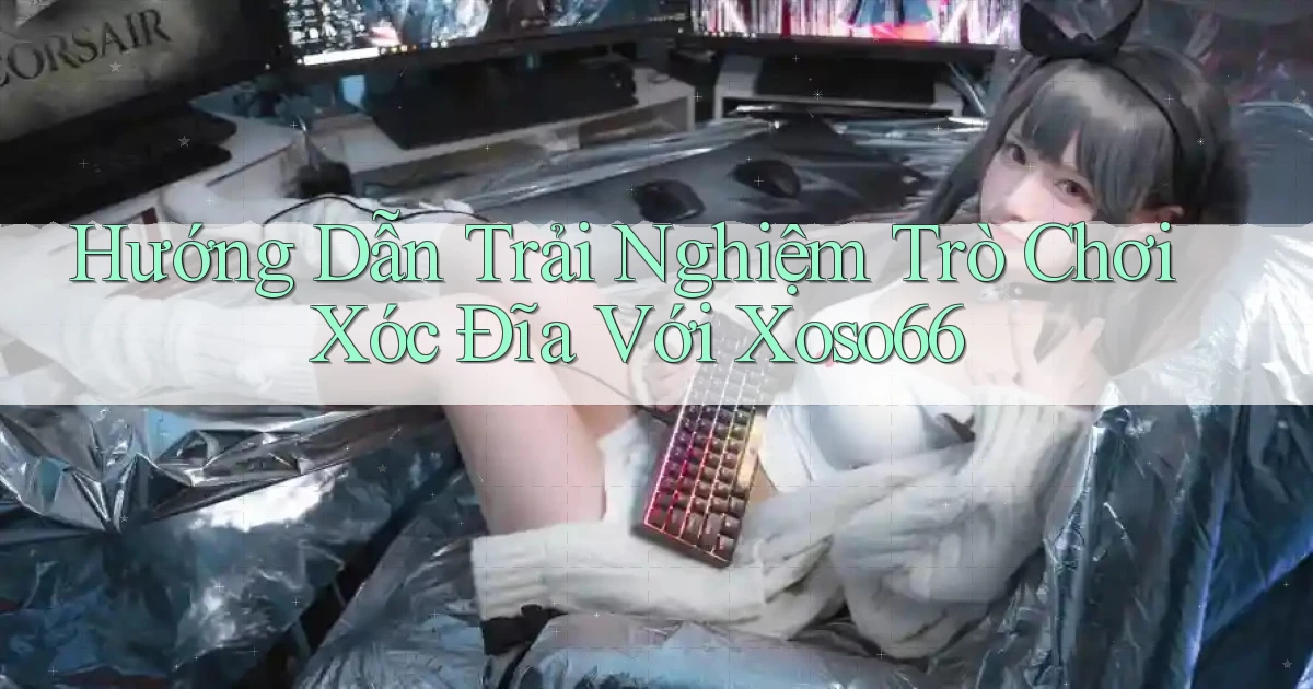 hướng dẫn trải nghiệm trò chơi xóc đĩa với xoso66
