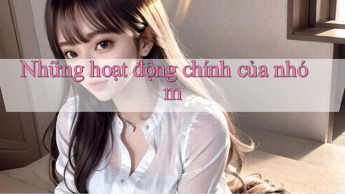 Những hoạt động chính của nhóm