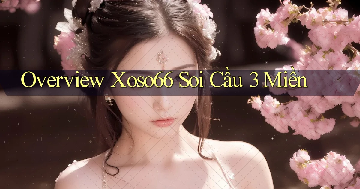 overview xoso66 soi cầu 3 miền