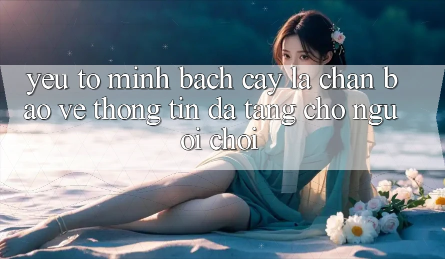 Yếu Tố “Minh bạch cậy” - Lá Chắn Bảo vệ thông tin Đa Tầng Cho Người chơi