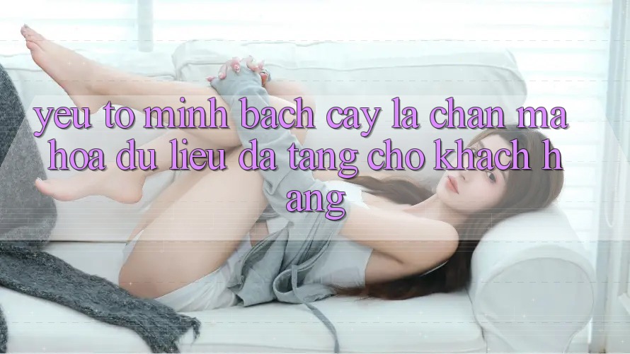 Yếu Tố “Minh bạch cậy” - Lá Chắn Mã hóa dữ liệu Đa Tầng Cho Khách hàng